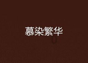 疯狂的小偷
